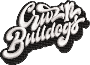 Custom 3D puff embroidery digitizing preview featuring the stylized text 