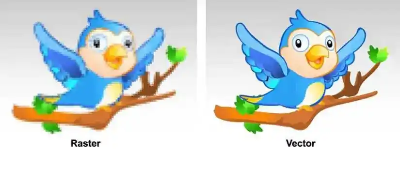 Custom vector conversion comparison showing a side-by-side raster-to-vector transformation of a blue bird perched on a branch, labeled 