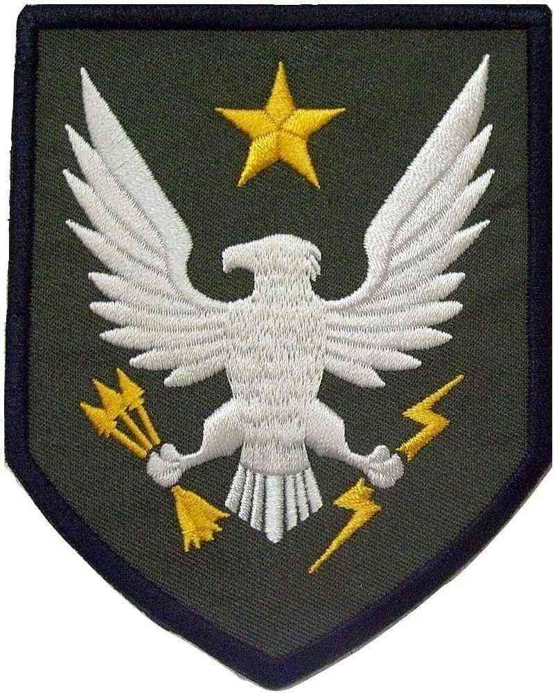 Custom embroidered shield patch featuring a white eagle with spread wings holding yellow arrows and a lightning bolt, with a yellow star above, on an olive green background with a black border.